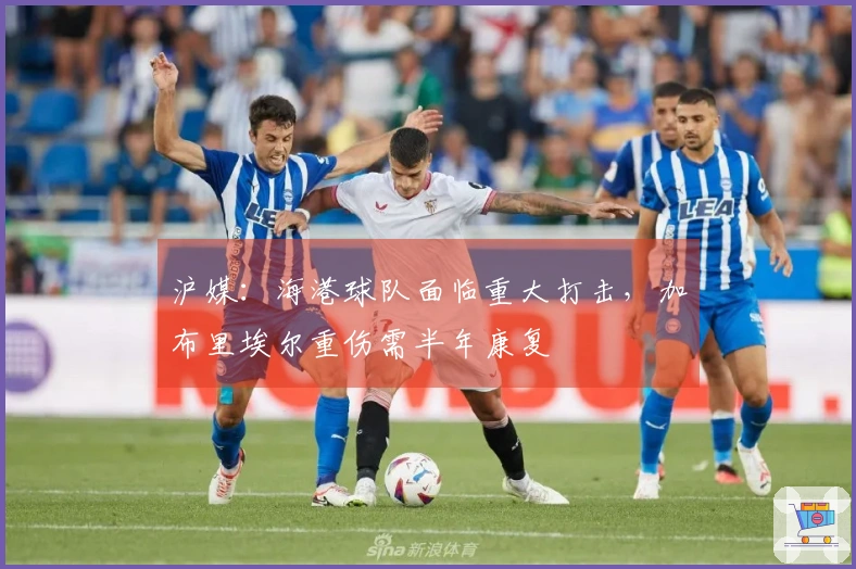 沪媒：海港球队面临重大打击，加布里埃尔重伤需半年康复