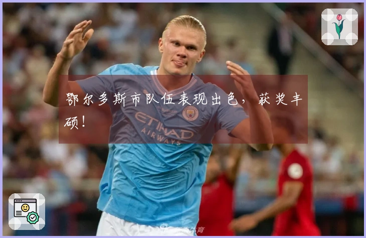 鄂尔多斯市队伍表现出色，获奖丰硕！