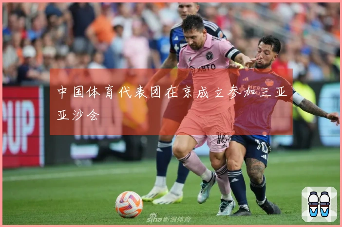 中国体育代表团在京成立参加三亚亚沙会
