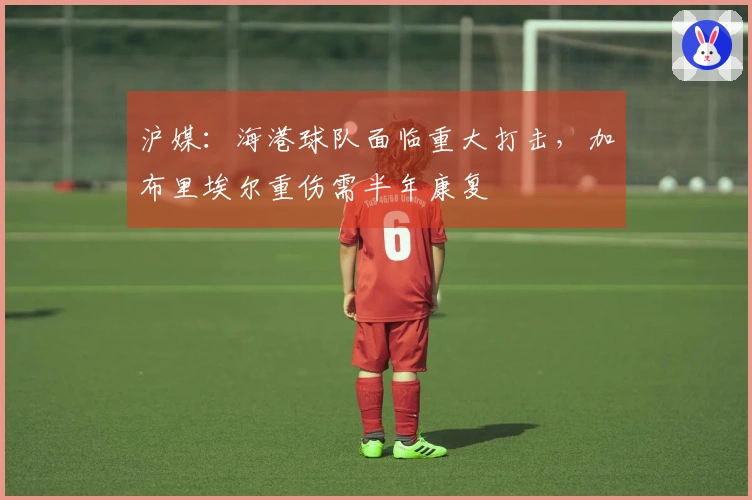沪媒：海港球队面临重大打击，加布里埃尔重伤需半年康复
